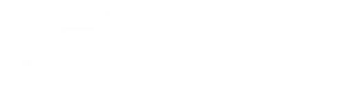 BRAVE Books white lion logo