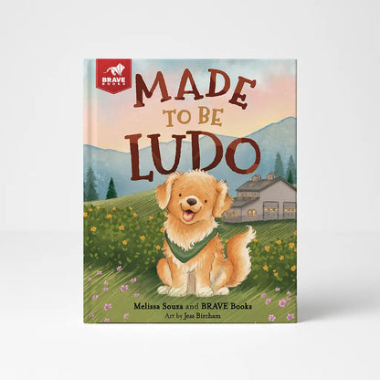 Made to be Ludo