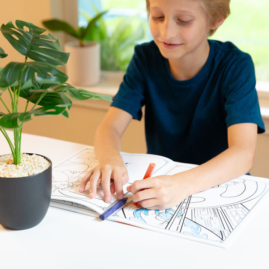 Freedom Island Crayon and Coloring Book Duo